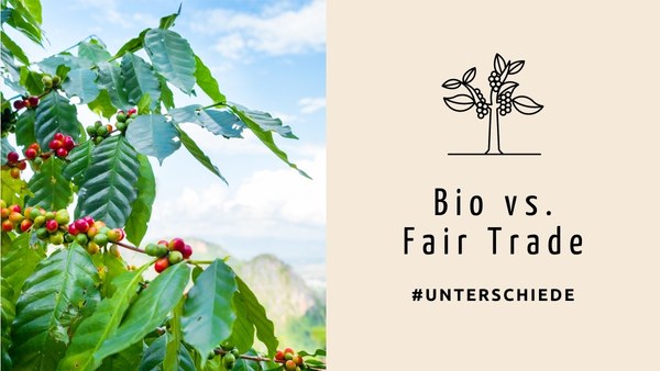 Was ist der Unterschied zwischen Fair Trade und Bio?