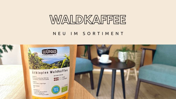 NEU: Äthiopien Waldkaffee