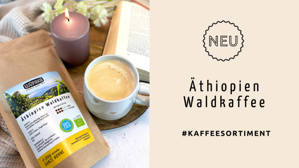 NEU: Äthiopien Waldkaffee