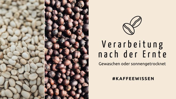 Kaffeeverarbeitungsarten