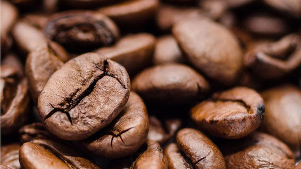 Gute Bohnen, schlechte Bohnen – Woran erkennt man Qualität?