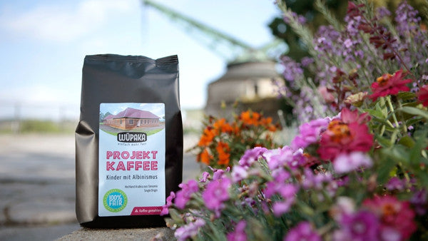 Geförderte Projekte 2023