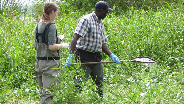 Schiostosomiasis Bekämpfung in Mwanza